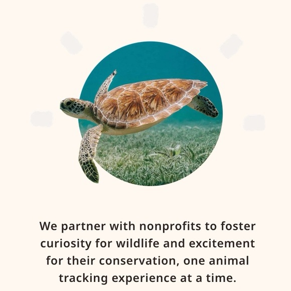 The Voyage Bracelet by Fahlo - Picture 4 of 6